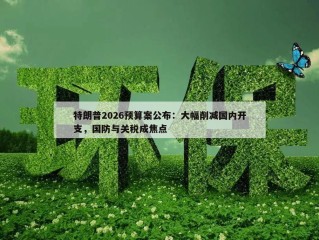 特朗普2026预算案公布：大幅削减国内开支，国防与关税成焦点