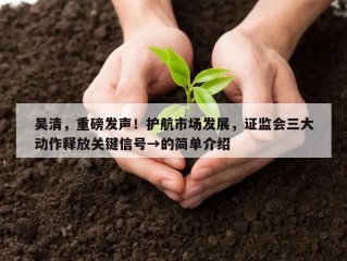 吴清，重磅发声！护航市场发展，证监会三大动作释放关键信号→的简单介绍