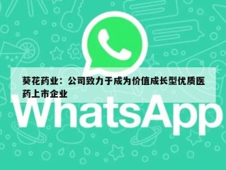 葵花药业：公司致力于成为价值成长型优质医药上市企业