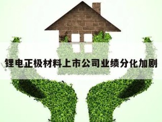 锂电正极材料上市公司业绩分化加剧