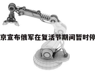 普京宣布俄军在复活节期间暂时停火